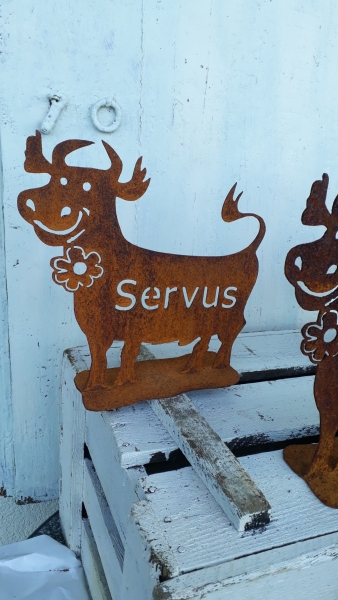 Deko Spaß Kuh mit der Schrift Servus ein wahrer Blickfang 25x25 cm